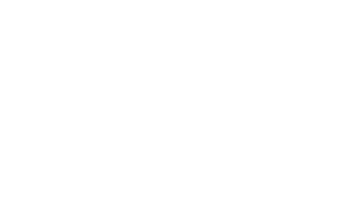 lynx motors engineering litd frank berger